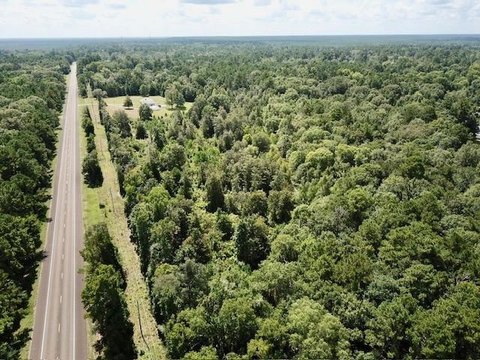 Wooded Land Near Lake Steinhagen