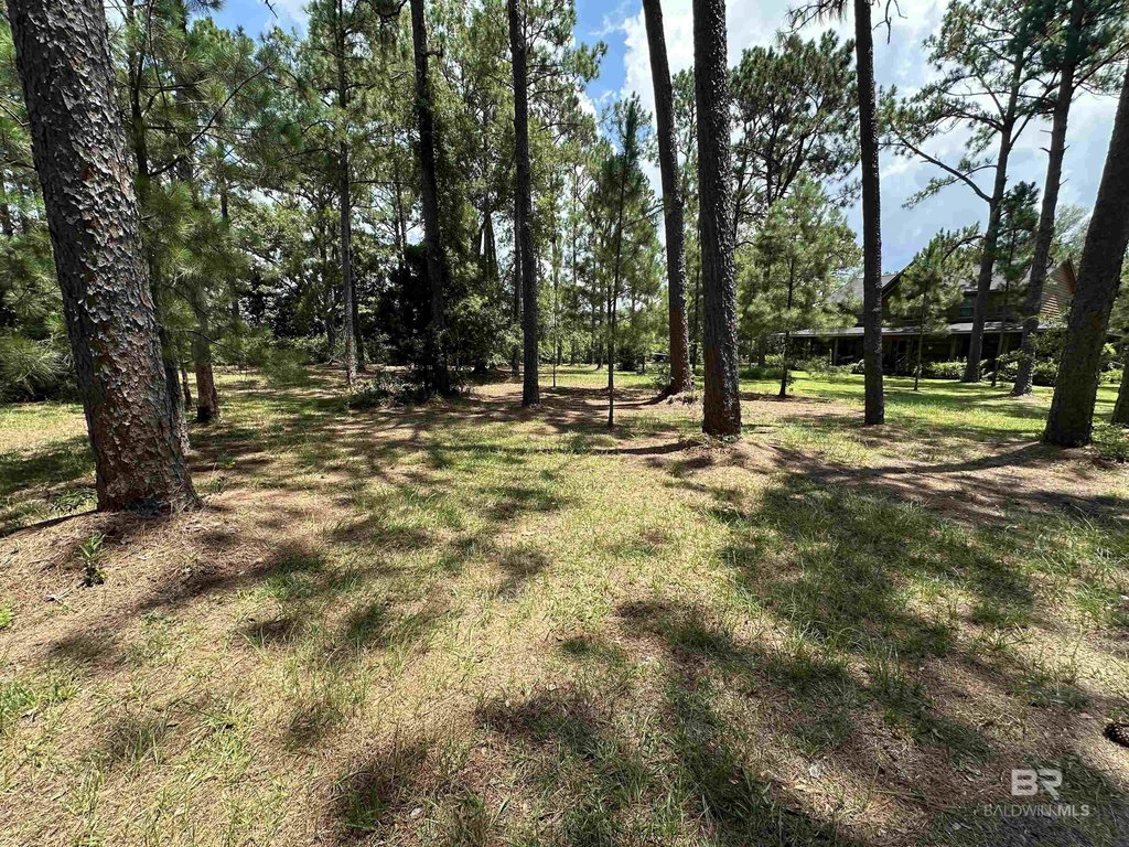 Picture 3