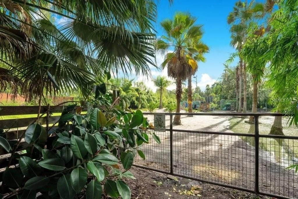 Vacant Land with Pond View