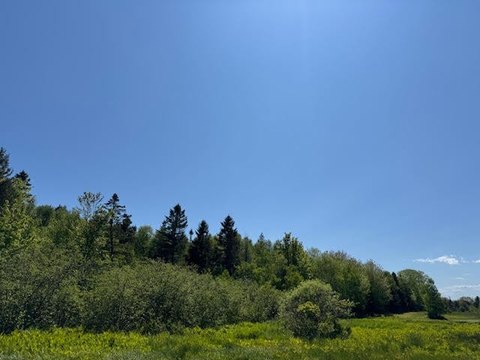 Eastport Land Abutting New Development