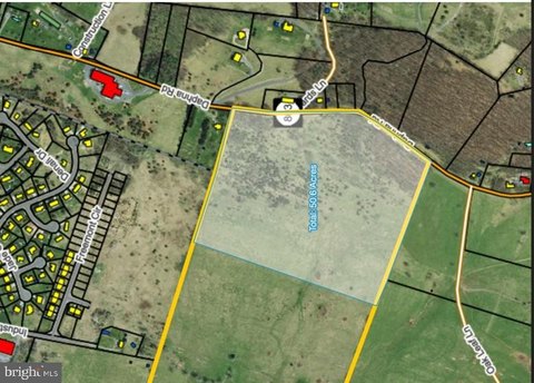 50 Acres Near Broadway, VA