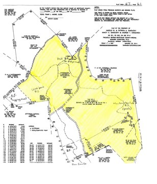 Eagle Rock Forest Land Opportunity