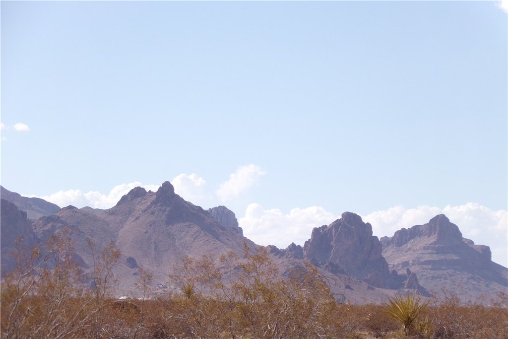 Picture 25