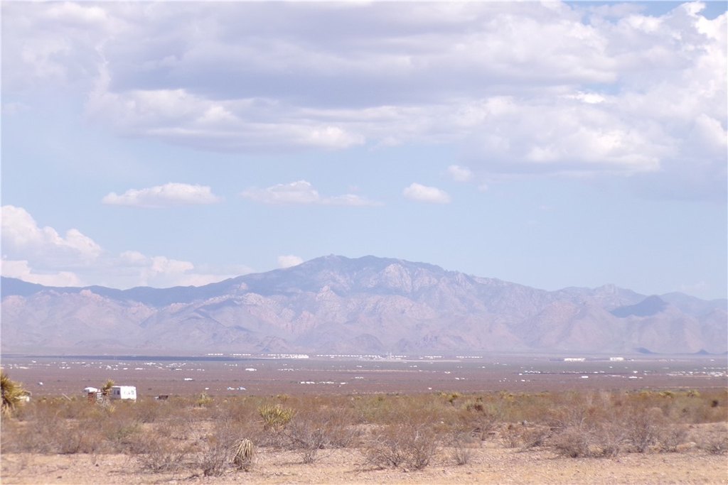 Picture 27