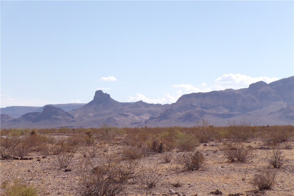 Picture 22