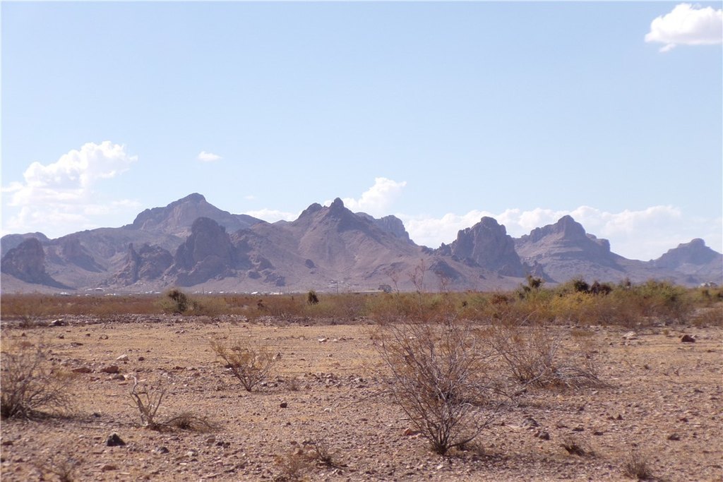 Picture 19