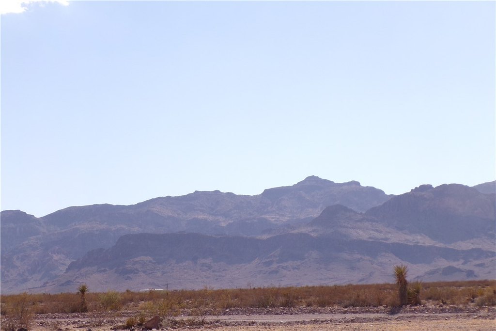Picture 23