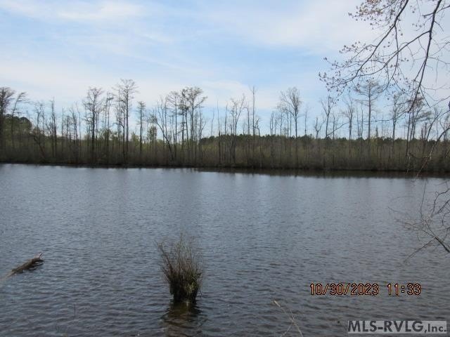 Waterfront Lot on Meherrin River