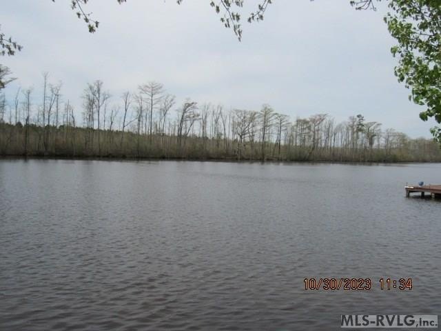 Picture 8
