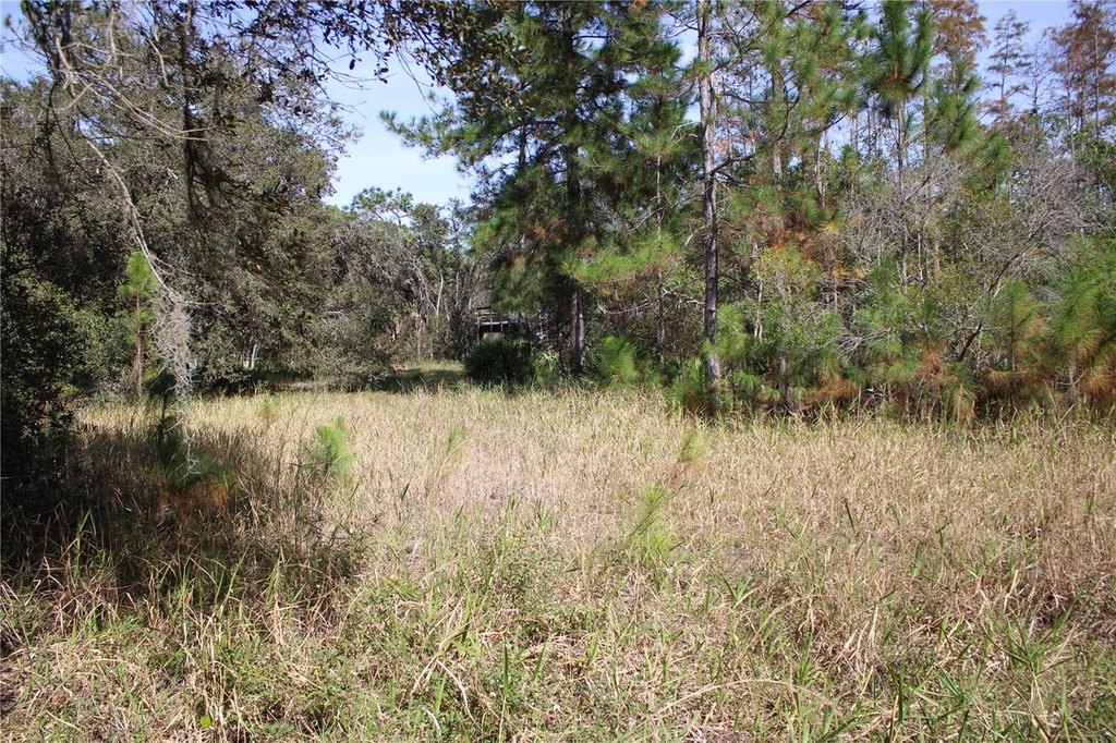 Picture 8