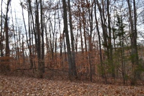 Wooded Acreage in Celina, Tennessee