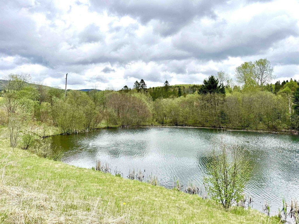 Picture 11