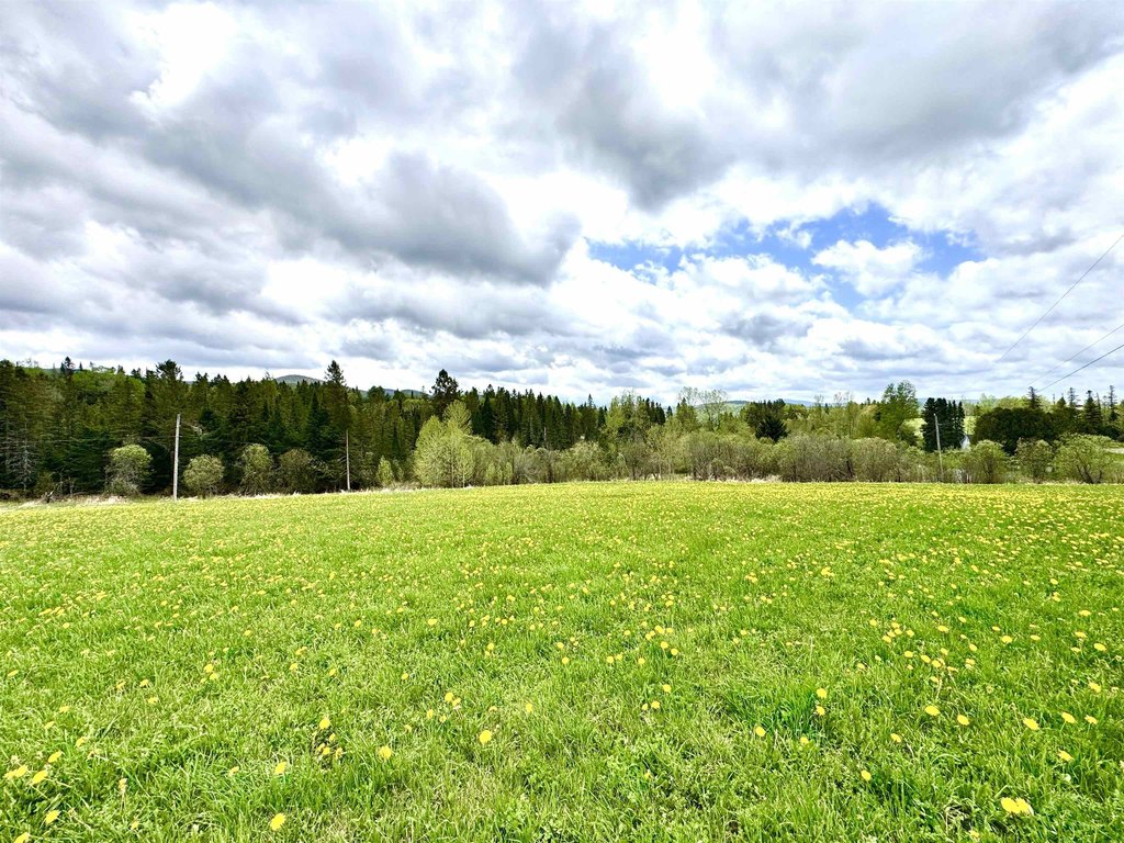Picture 8