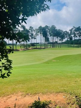 Land, Other - Ball Ground, GA