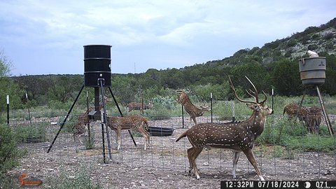 Rocksprings Hunting Land For Sale