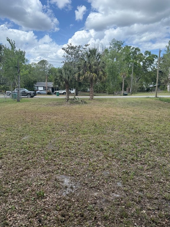 Picture 3