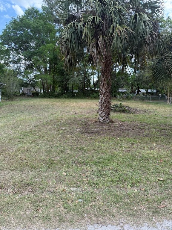 Picture 2