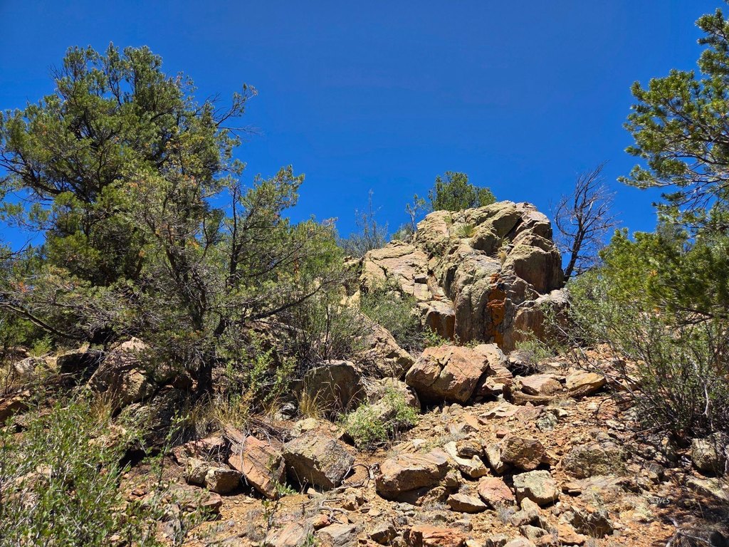 Picture 33