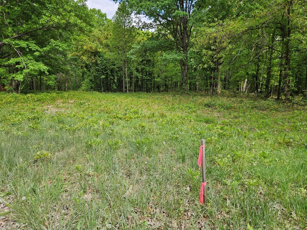 Picture 3