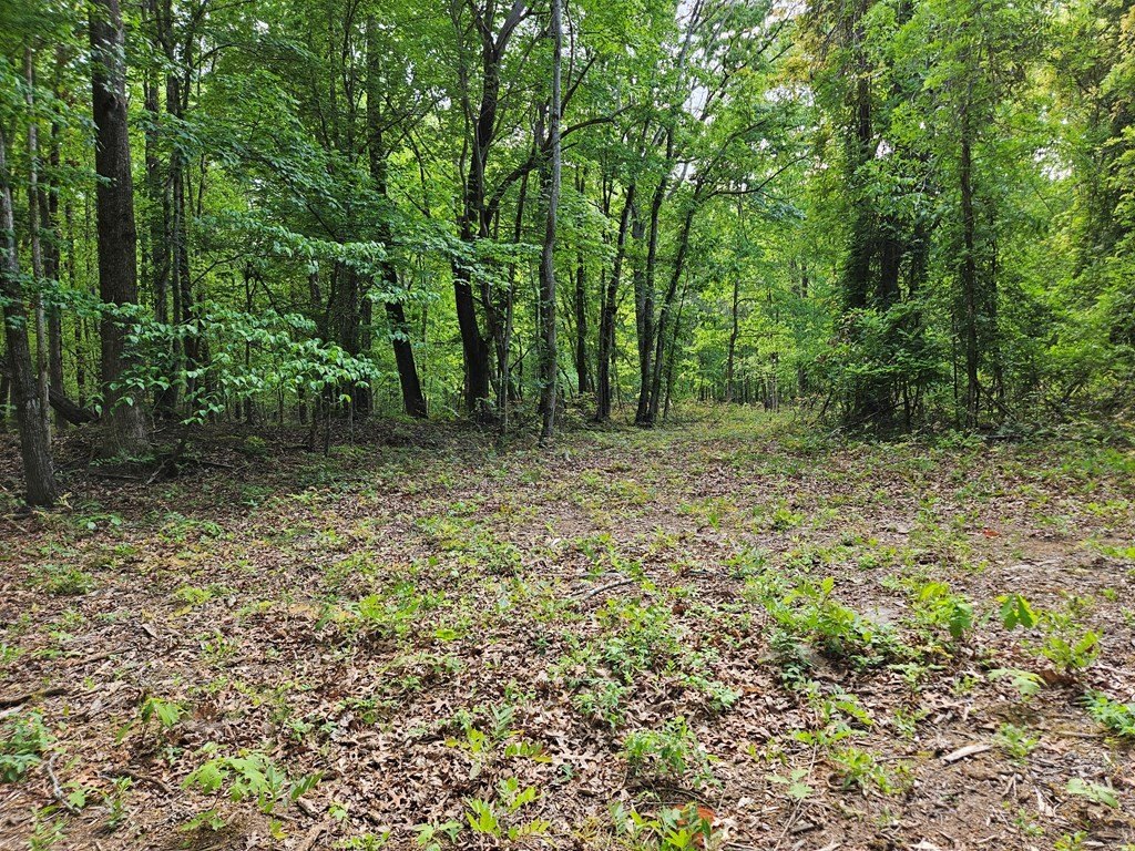 Picture 17