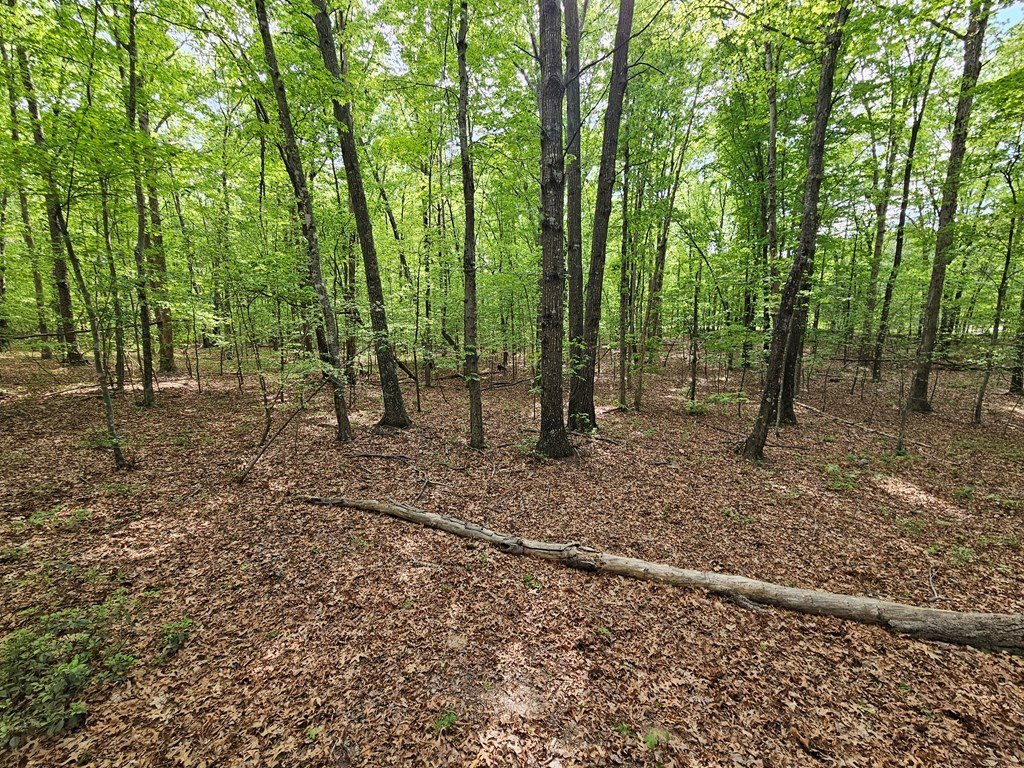 Picture 12