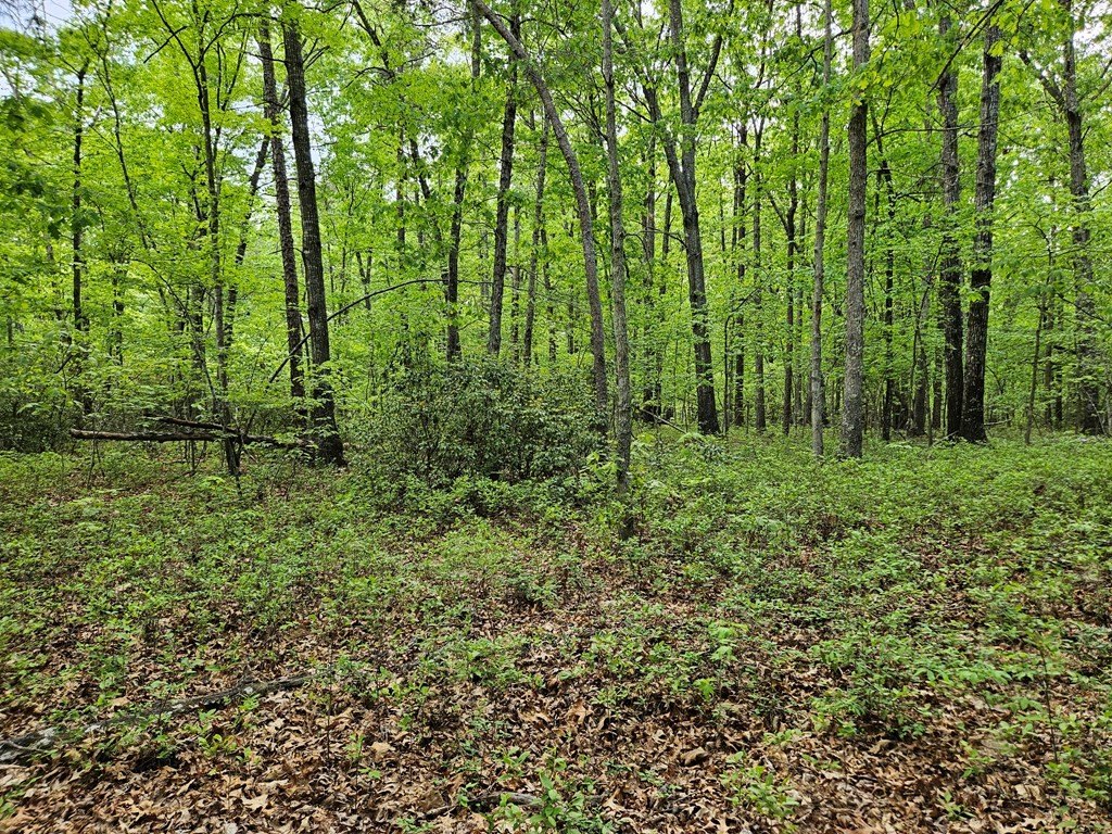 Picture 16