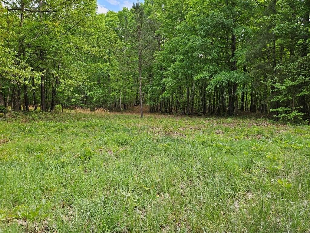 Buckingham, VA Land Tract