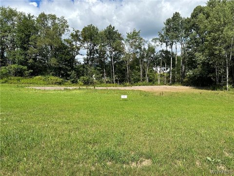 Residential Land in Allegany, NY