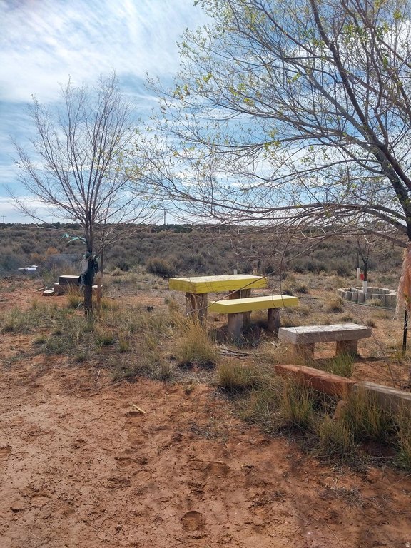 Picture 24