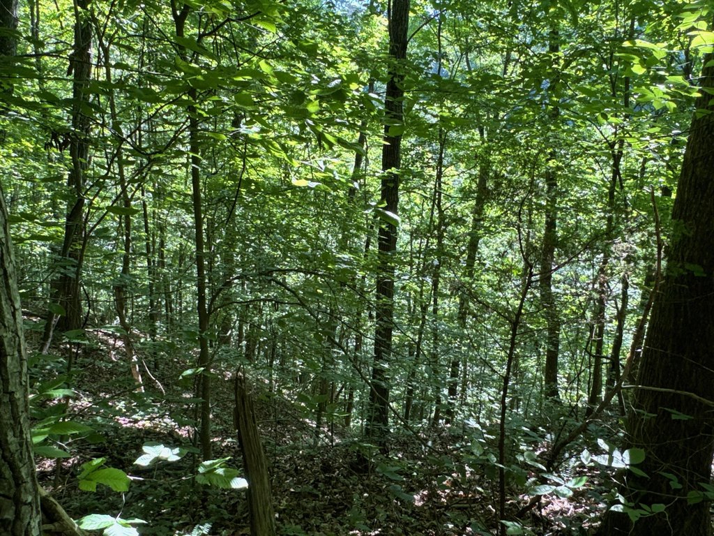 Picture 8