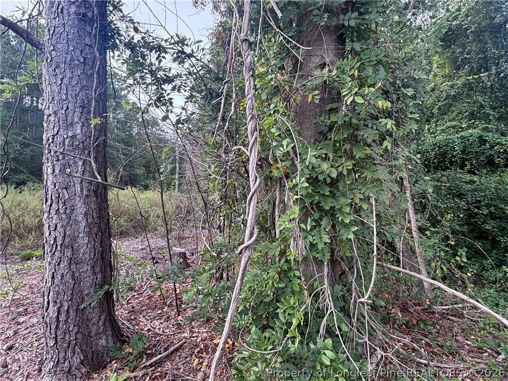 Picture 12