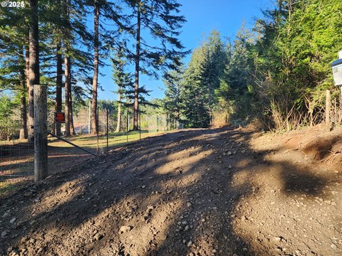 Forested Land Near Pacific Coastline