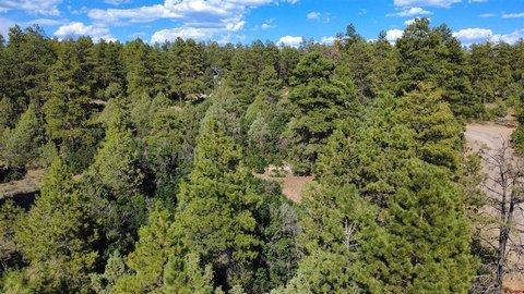 LAND - Pagosa Springs, CO