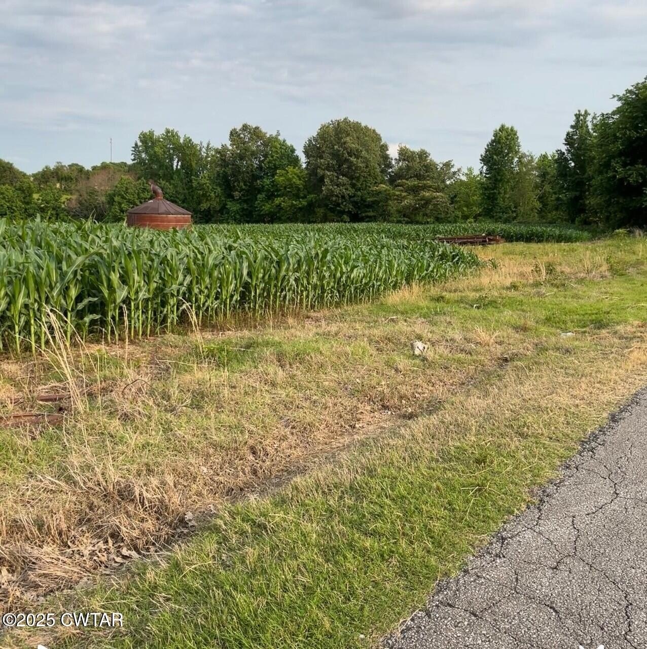 Newbern, TN Land For Sale