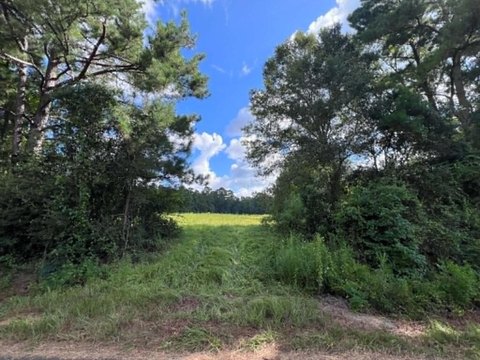 Land, Jasper, TX