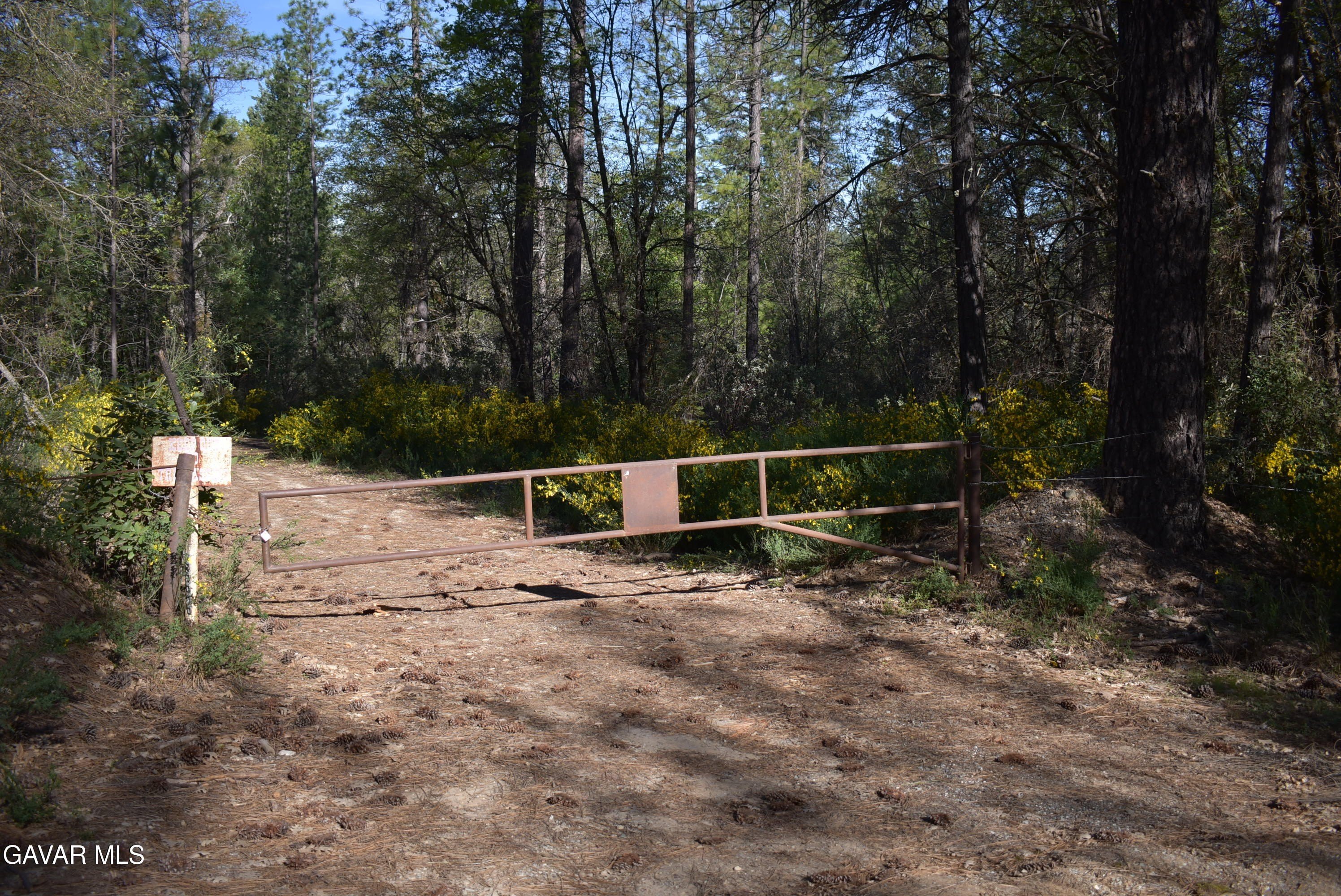 Forested Agricultural Land in Nevada
