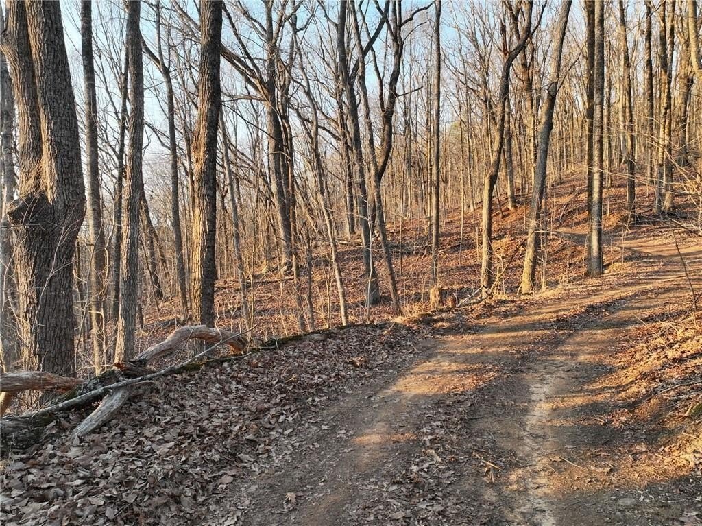 Picture 12