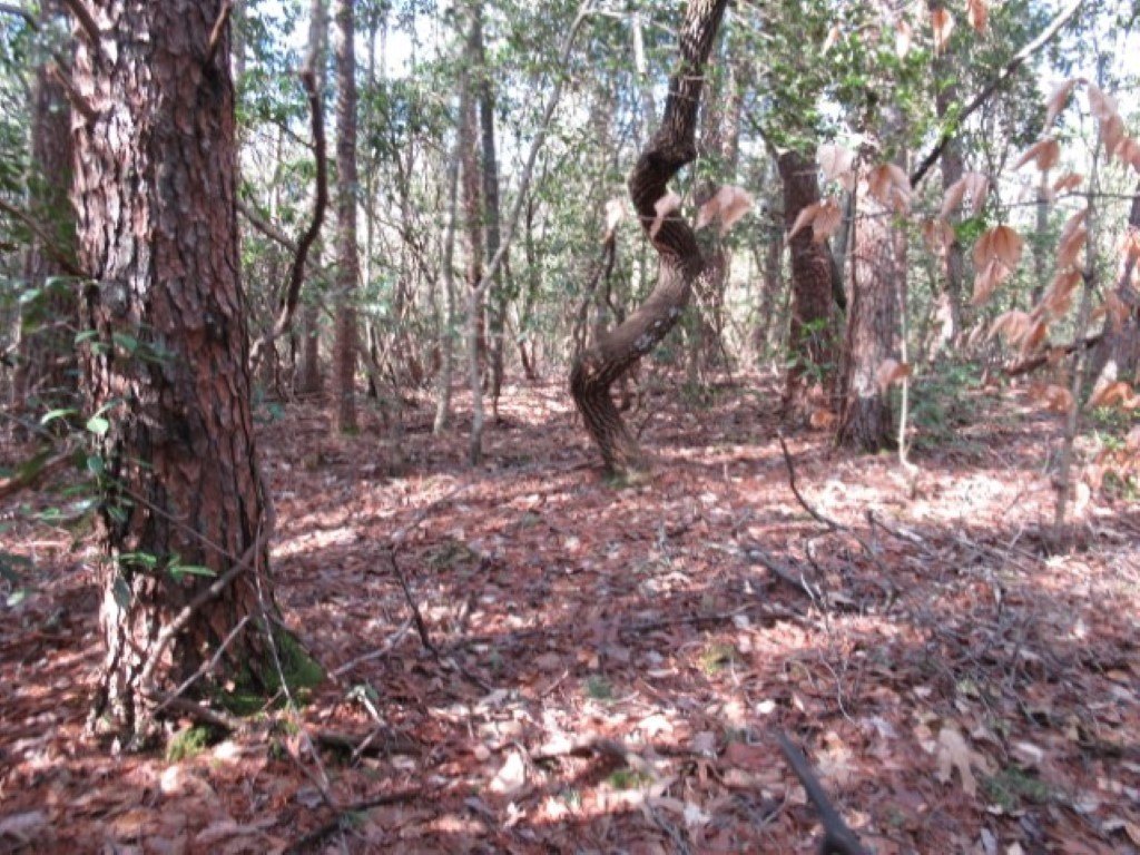 Picture 11