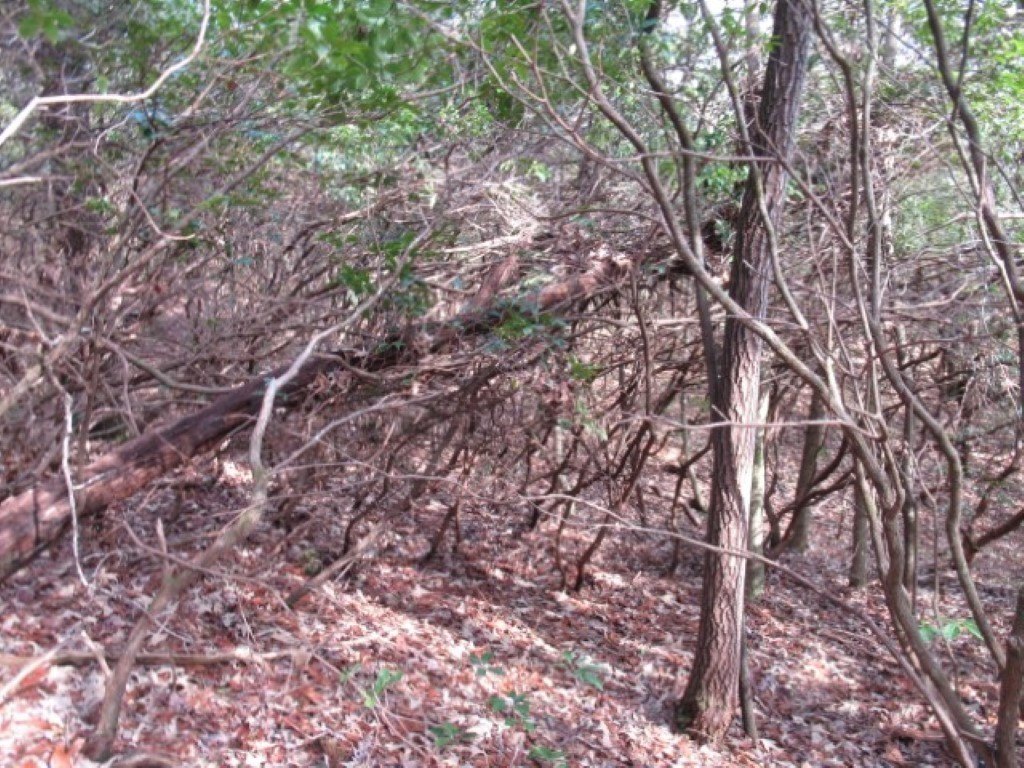 Picture 4