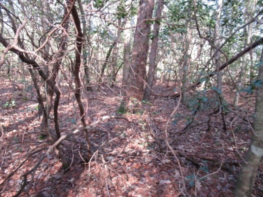 Picture 9