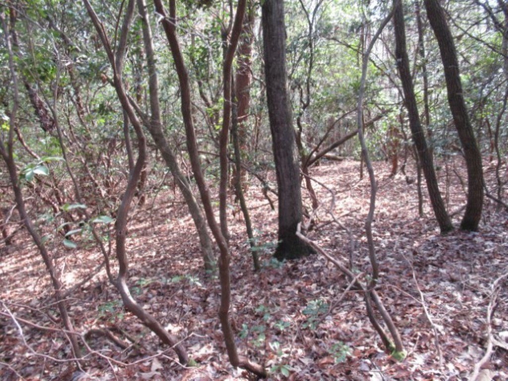 Picture 5