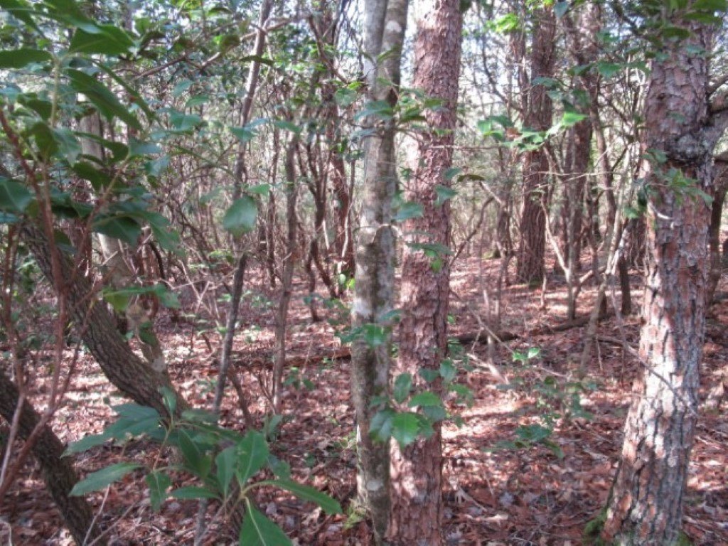 Picture 13