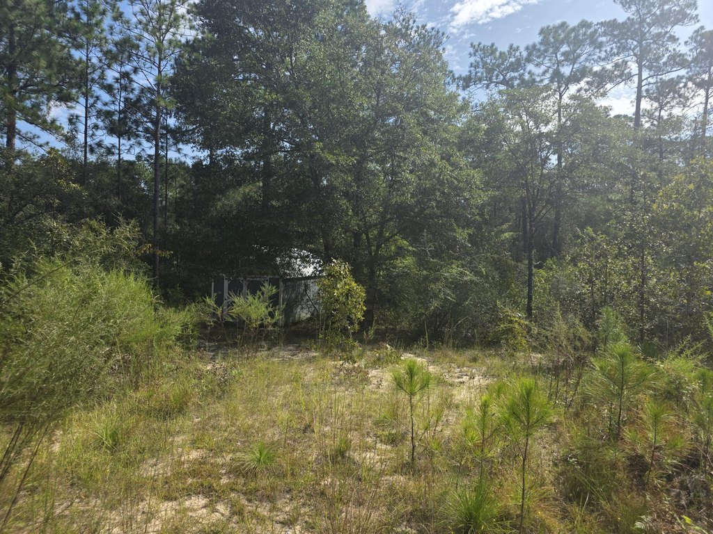 Picture 3