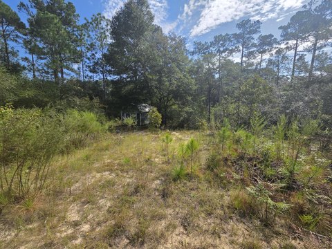 Land, DeFuniak Springs, FL