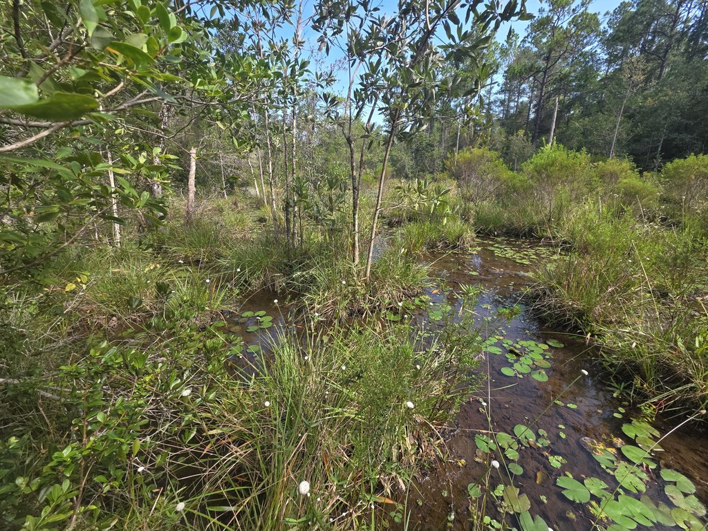 Picture 7