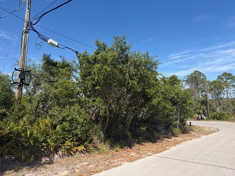 Corner Lot in Cedar Key