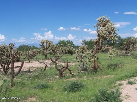 Tucson Land For Sale