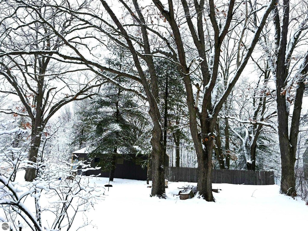 Picture 4