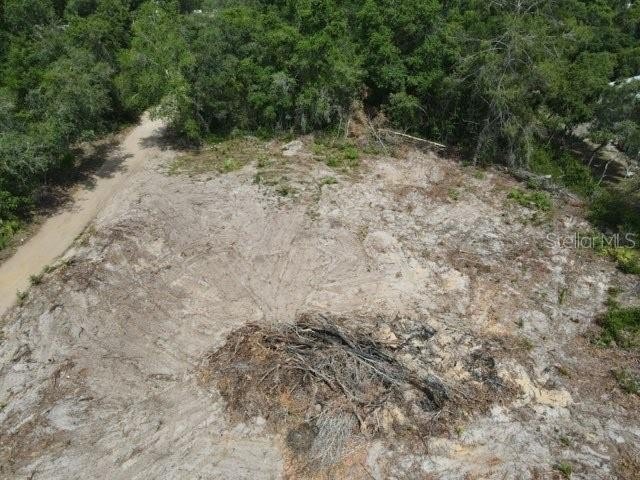 Picture 3