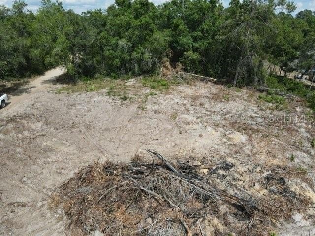 Picture 4